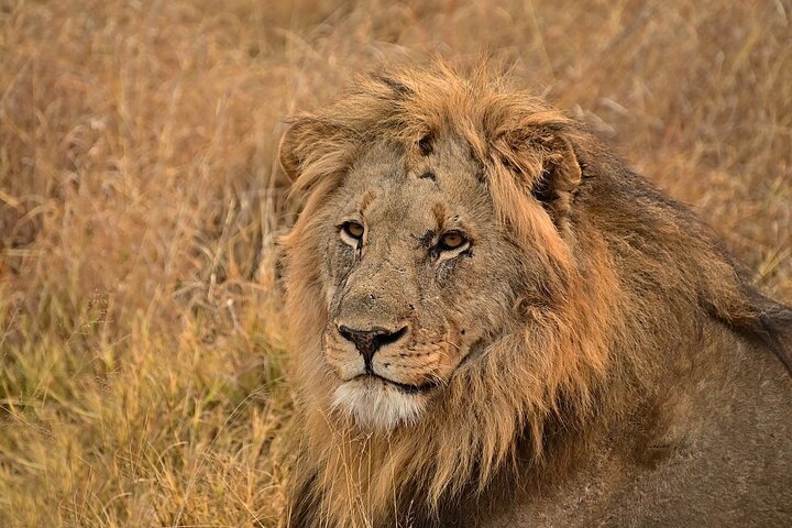 OVERNIGHT SAFARI TO TSAVO EAST NATIONAL PARK FROM MOMBASA orDIANI