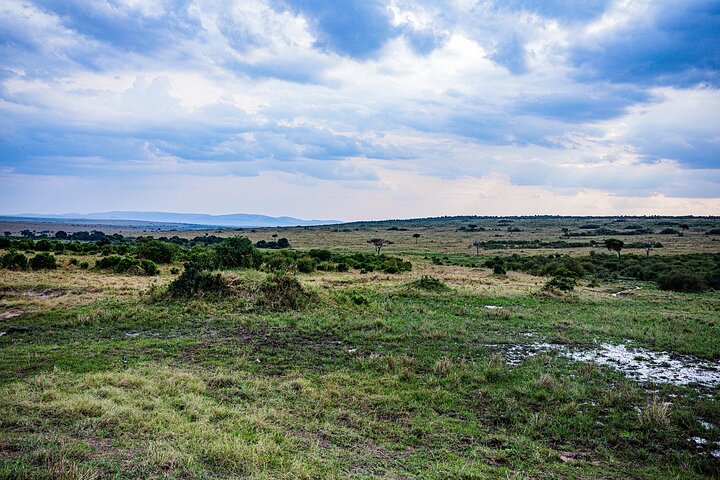 3 days group joining safari to Maasai Mara with a Land Cruiser Jeep