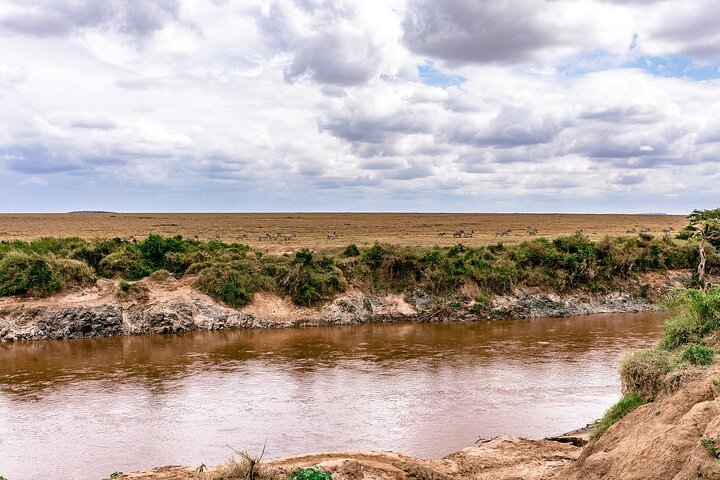 Private game drive safari Tour in Maasai Mara