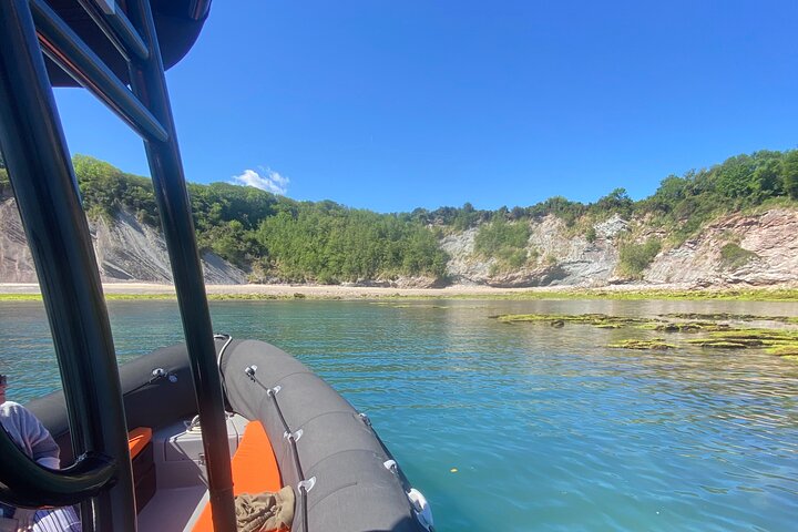 Explore the Wild Beauty of the Basque Coast by Boat