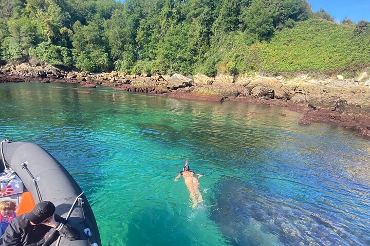 Explore the Wild Beauty of the Basque Coast by Boat