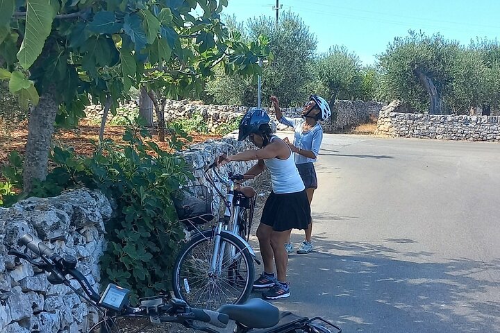 Tour Ebike Trulli Alberobello e Locorotondo