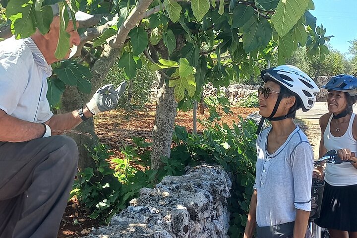 Tour Ebike Trulli Alberobello e Locorotondo