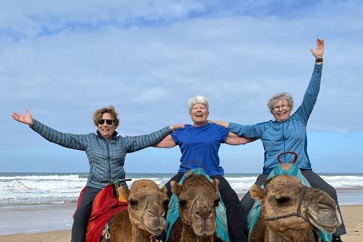 Top VIP Private Tour of Tangier from Estepona All Inclusive