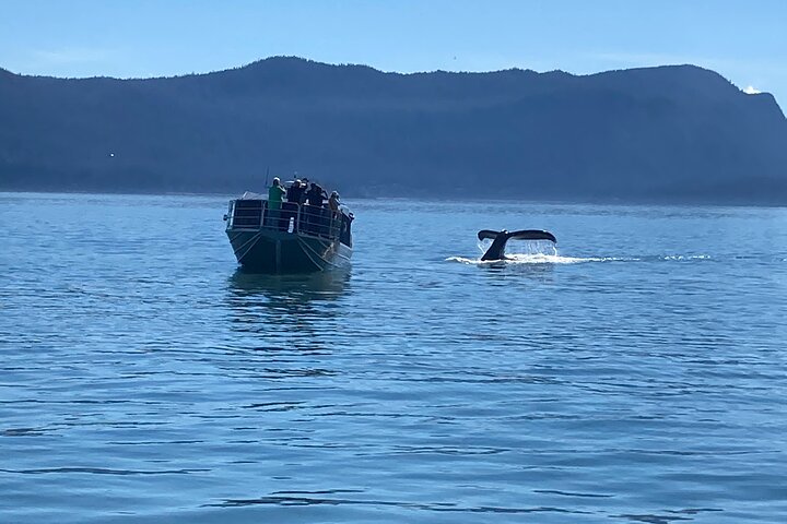 Mendenhall Glacier Waterfall and Whale Watching Tour