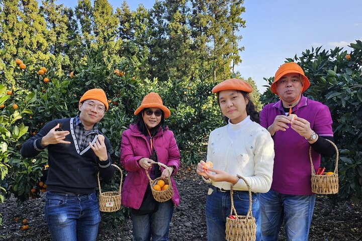 South of jeju tour for Seogwipo Gangjeong Cruise customers