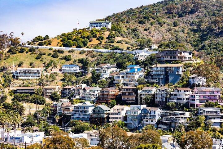 Catalina Island Private 2-Hour Tour of Avalon