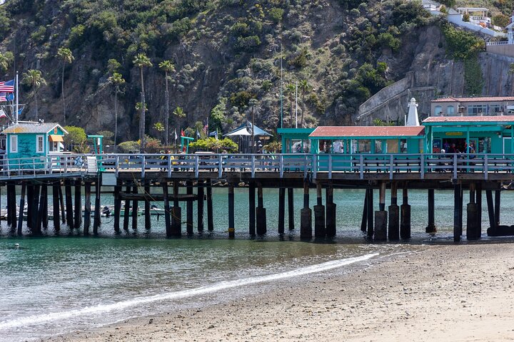 Catalina Island Private 2-Hour Tour of Avalon