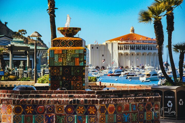 Catalina Island Private 2-Hour Tour of Avalon