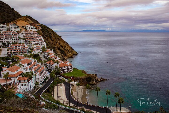 Catalina Island Private 2-Hour Tour of Avalon