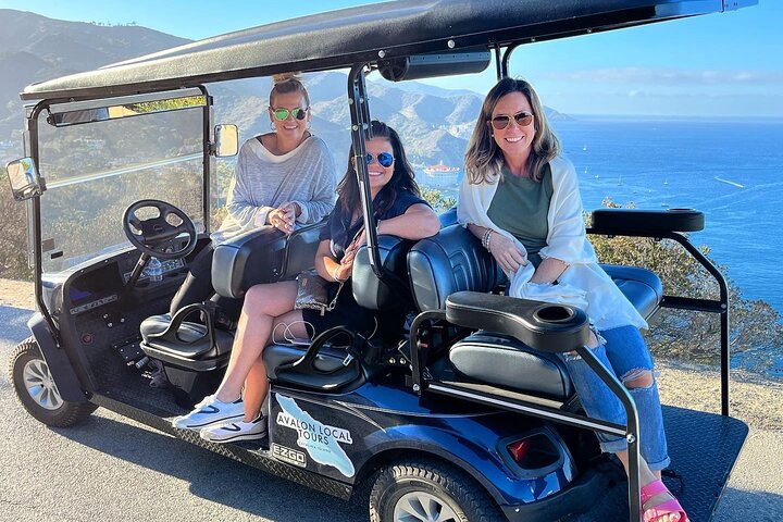 Catalina Island Private 2-Hour Tour of Avalon