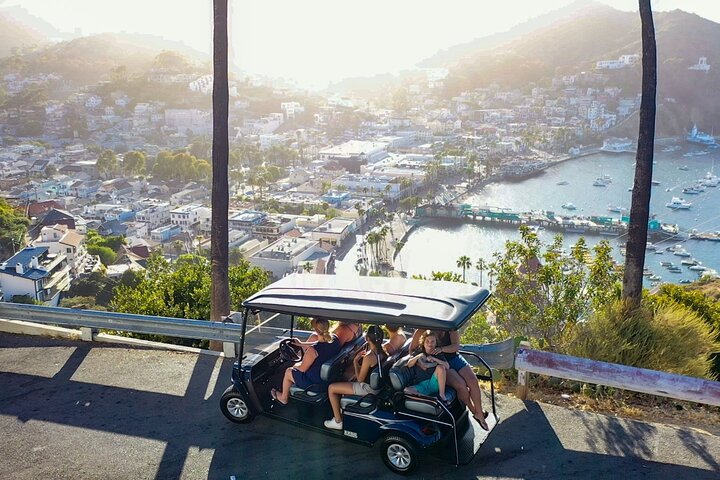 Catalina Island Private 2-Hour Tour of Avalon