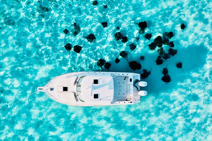 Cayman Private Luxury Charters - Stingray City, Snorkel, & More