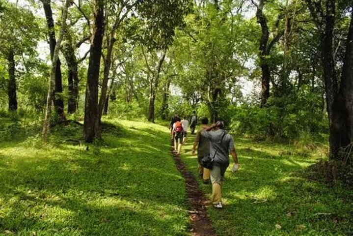 Private Full Day Wild Trails at Thekkady