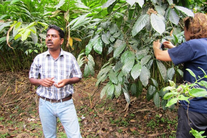Private Full Day Wild Trails at Thekkady