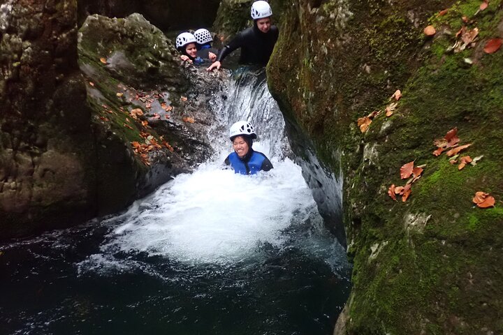 Canyoning Lake Bled Slovenia - Free Photos and Videos