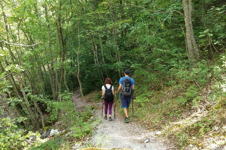Discover Mount Olympus & Dion, Private Day Tour from Thessaloniki