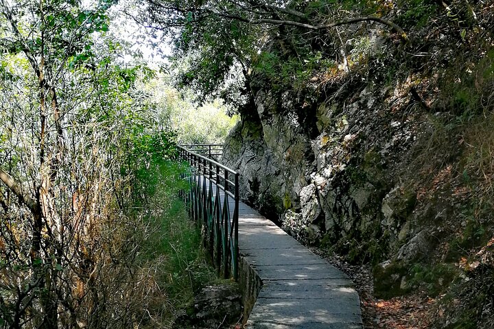 Discover Mount Olympus & Dion, Private Day Tour from Thessaloniki