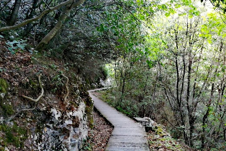 Discover Mount Olympus & Dion, Private Day Tour from Thessaloniki