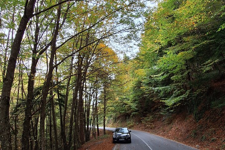 Discover Mount Olympus & Dion, Private Day Tour from Thessaloniki