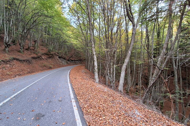 Discover Mount Olympus & Dion, Private Day Tour from Thessaloniki