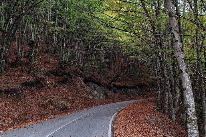 Discover Mount Olympus & Dion, Private Day Tour from Thessaloniki