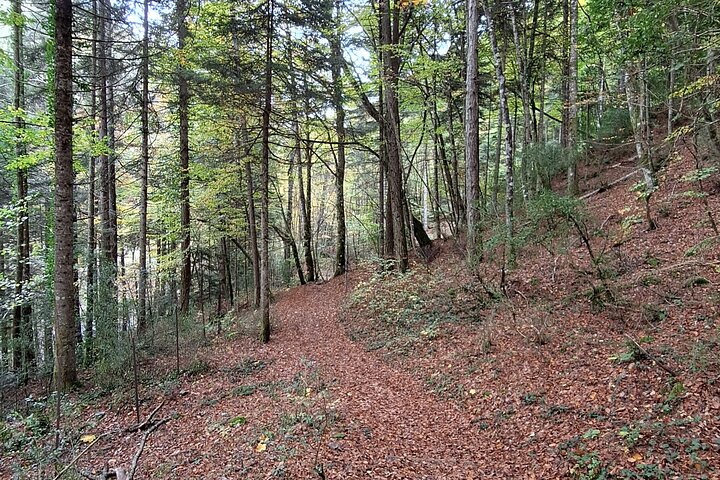 Discover Mount Olympus & Dion, Private Day Tour from Thessaloniki