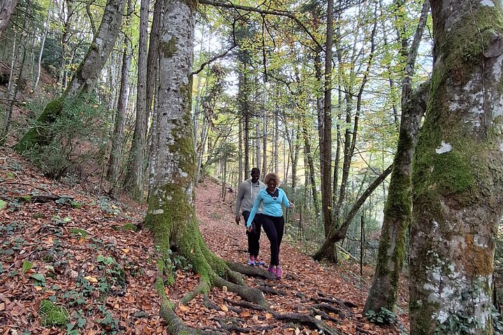 Discover Mount Olympus & Dion, Private Day Tour from Thessaloniki