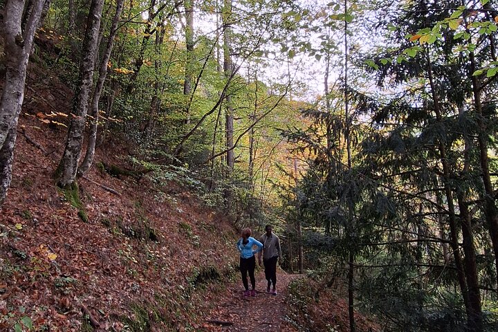 Discover Mount Olympus & Dion, Private Day Tour from Thessaloniki