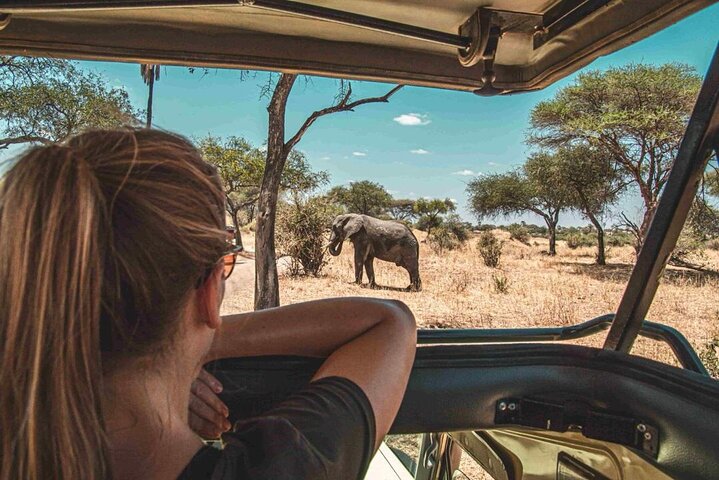 1-Day Shared Safari to Nyerere NP from Zanzibar