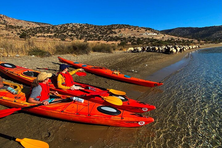 Naxos: Rhina Cave Sea Kayaking Tour
