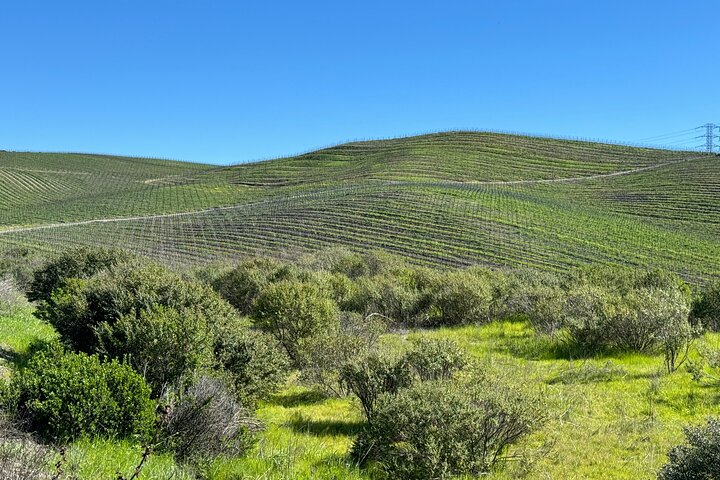 Healdsburg 6 Hour Wine Tour with Luxury SUV - Seats up to 4