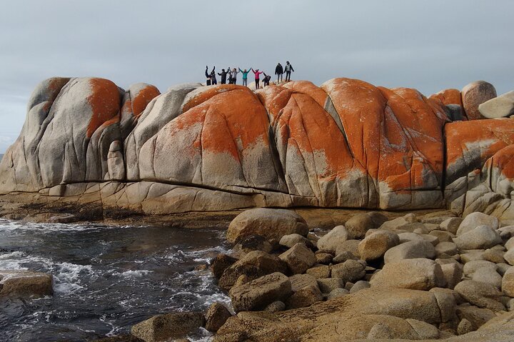 5-Day Best of Tasmania Tour from Hobart