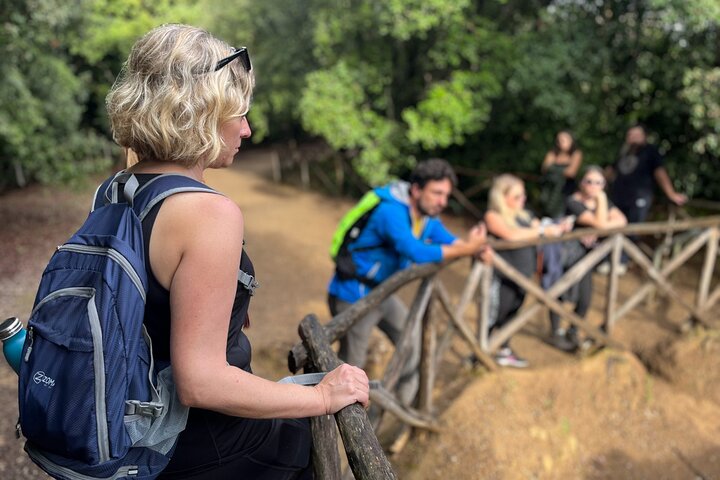 Pitigliano in the footstep of the Etruscan: Hike and wine tasting