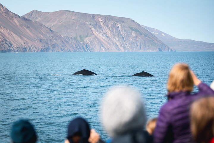 Traditional Oak Ship Whale Watching Tour From Husavik