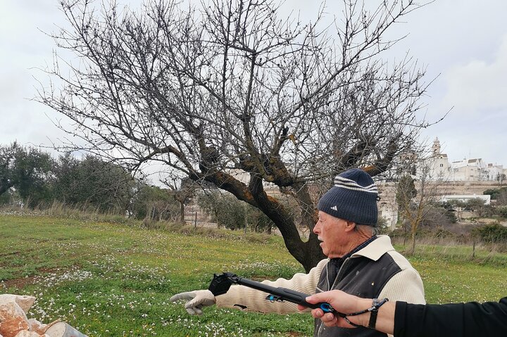 PUGLIA Tour Private Customizable Excl. with your Apulian friend