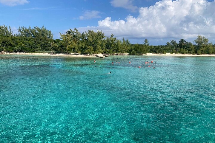 Nassau 3-stops: Snorkeling, Swimming Pigs, Turtles & Lunch