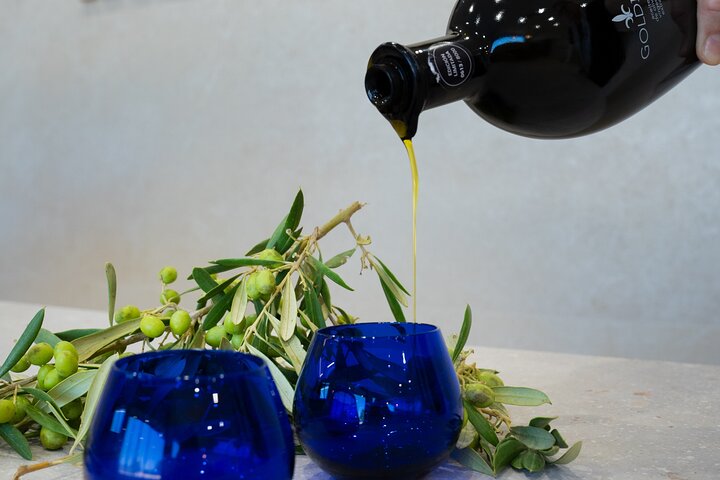 Olive Oil and Winery Tour from Zaragoza City