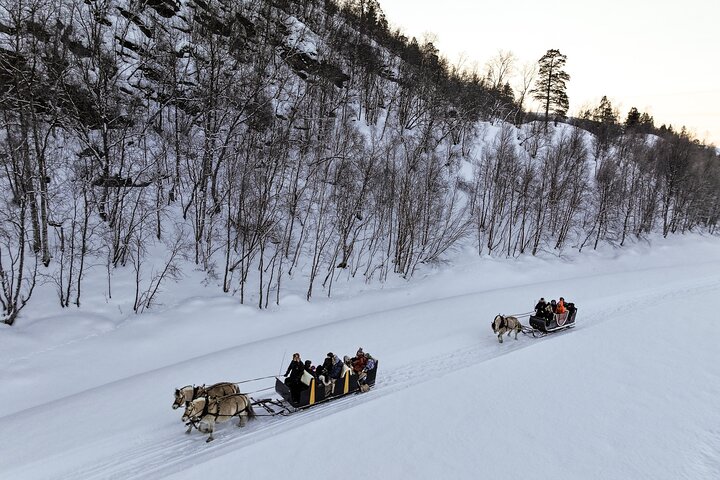 Sleigh Ride w/snacks- Experience Arctic Farm Life