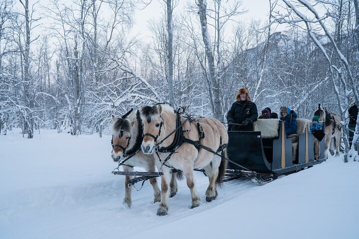 Sleigh Ride w/snacks- Experience Arctic Farm Life