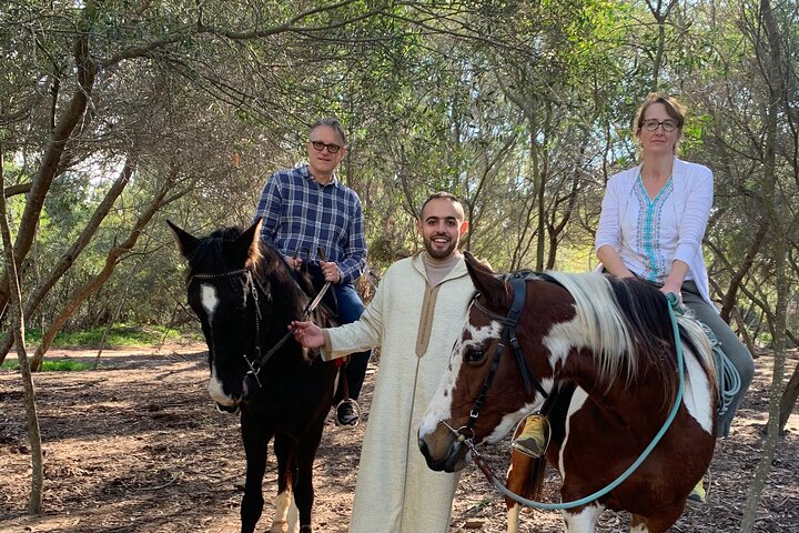 Top VIP Private Tour of Tangier from Estepona All Inclusive