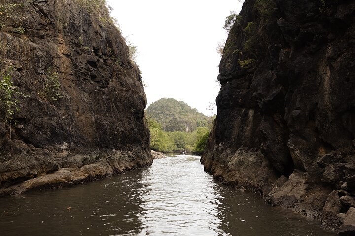 3 Hours Mangrove Boat Tour in Langkawi