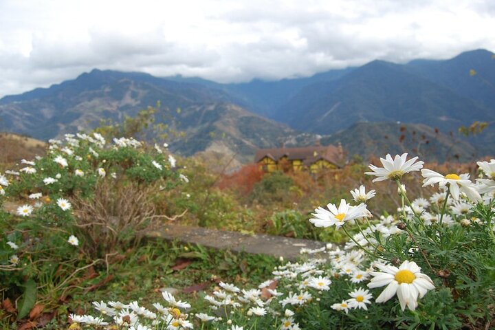 Sun Moon Lake & Qingjing Farm Day Guided Shared Tour | Taichung