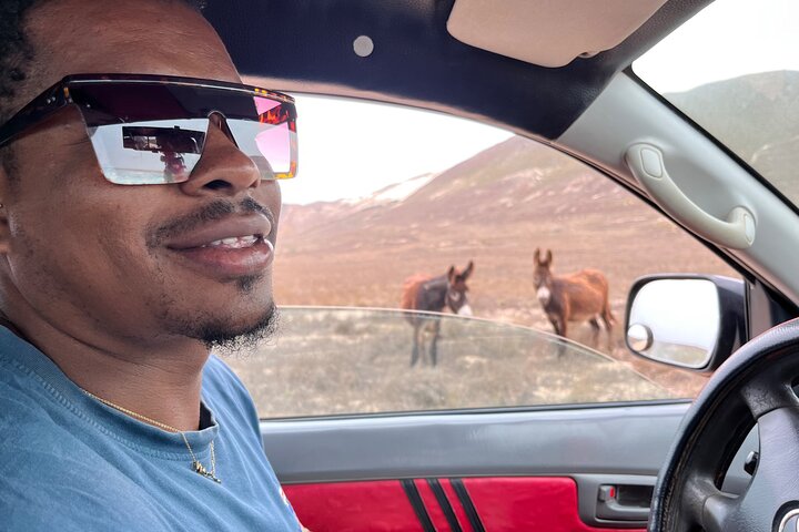 4WD Boa Vista group day tour south and north with sandboarding