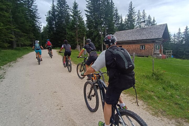 Guided e-bike tour of the alpine pastures in the Salzkammergut
