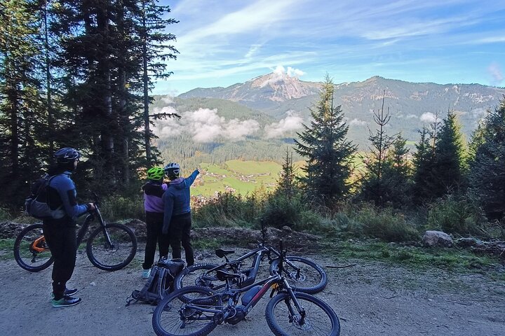Guided e-bike tour of the alpine pastures in the Salzkammergut