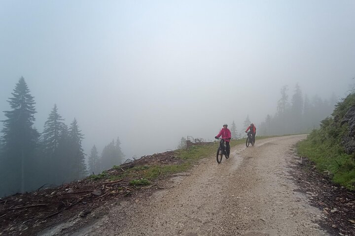 Guided e-bike tour of the alpine pastures in the Salzkammergut