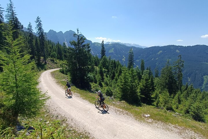 Guided e-bike tour of the alpine pastures in the Salzkammergut