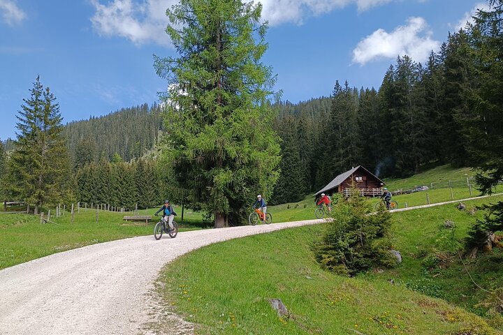 Guided e-bike tour of the alpine pastures in the Salzkammergut
