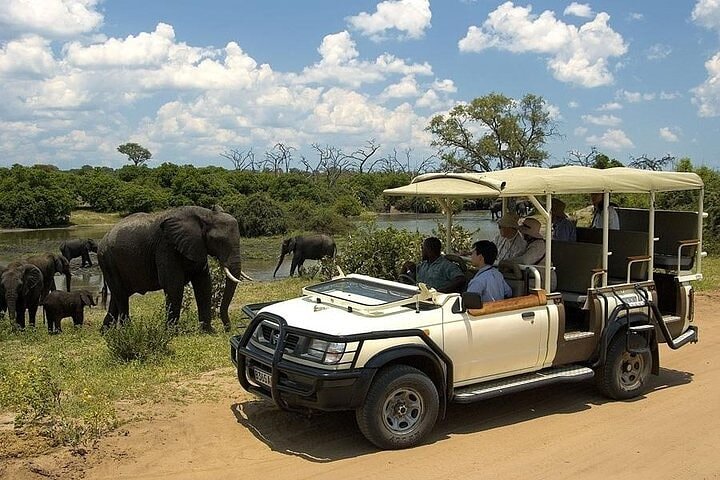 Chobe Day Trip Safari from Livingstone